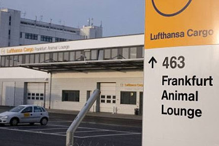 Frankfurt Animal Lounge thumb 4